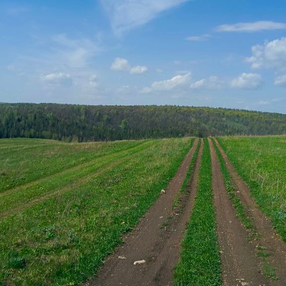 экологический район, где находится наша пасека